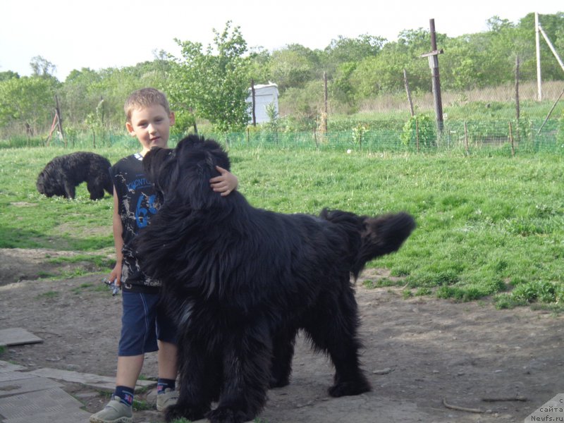 Фото: [d12049]и внук Олег!!
Большие друзья!!!!