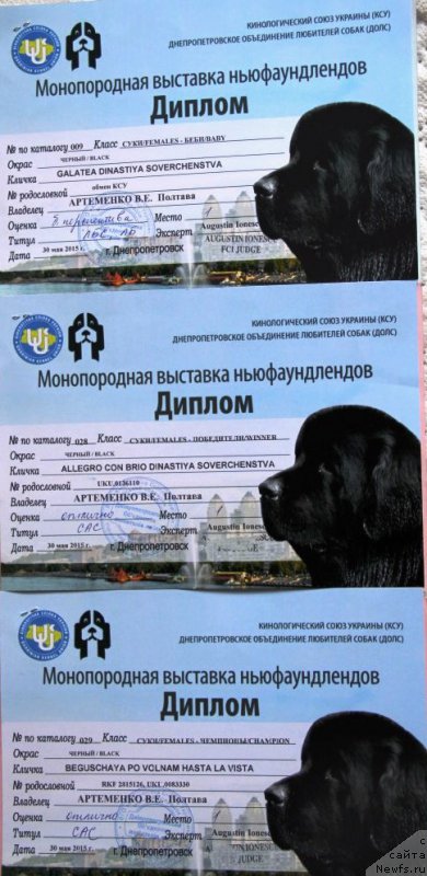 Фотография № 182961