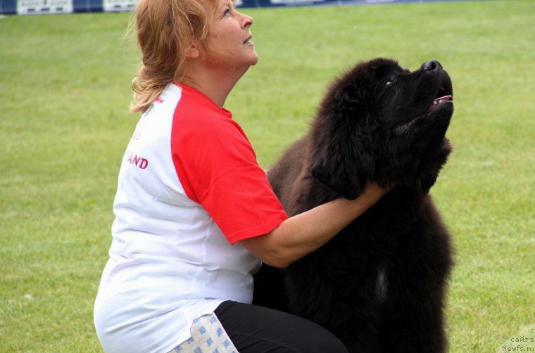 Фотография № 182964