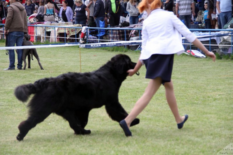 Фотография № 182968