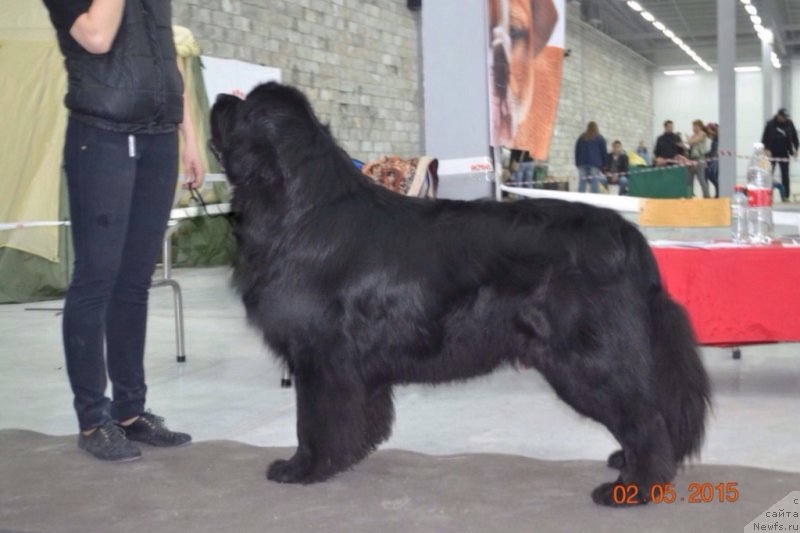 Фотография № 182978