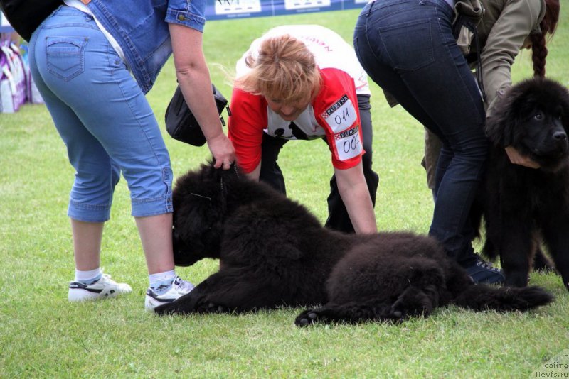 Фотография № 182985