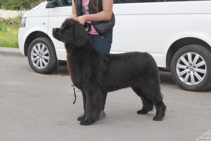 Фотография № 182991