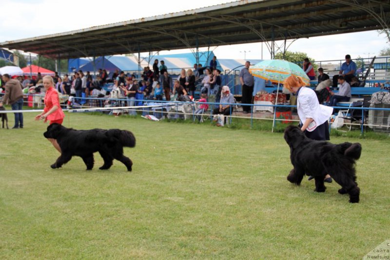 Фотография № 182992