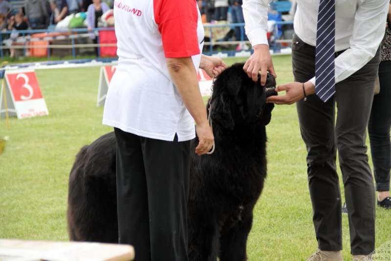 Фотография № 182993