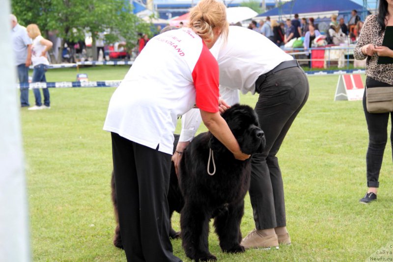 Фотография № 182994