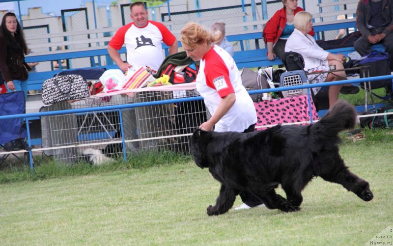 Фотография № 182995