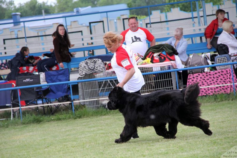 Фотография № 182996