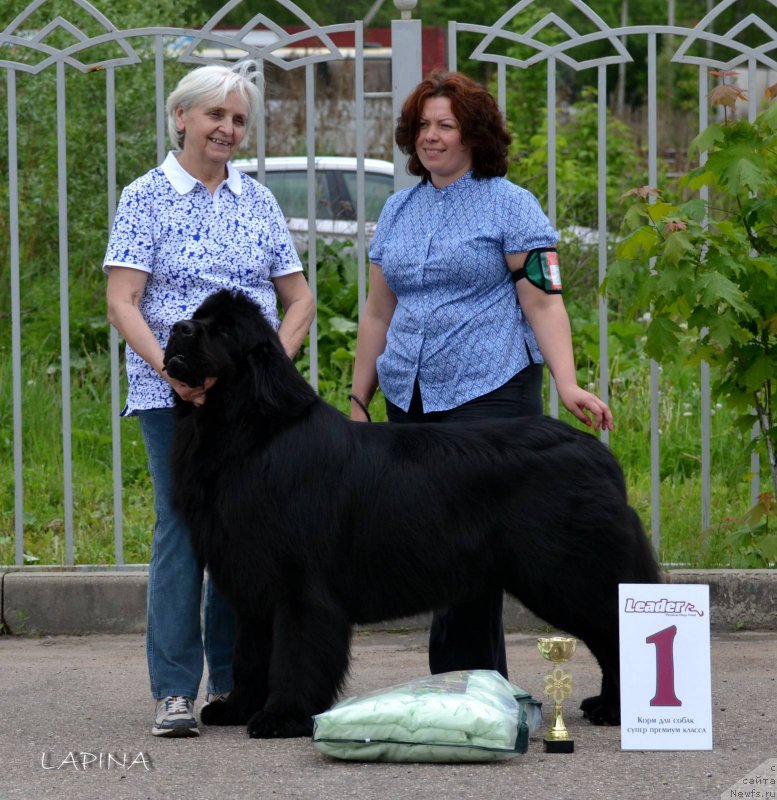 Фотография № 183000