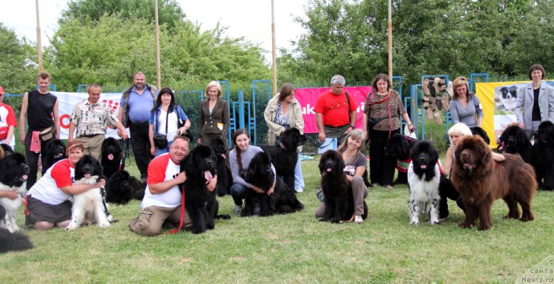 Фотография № 183002