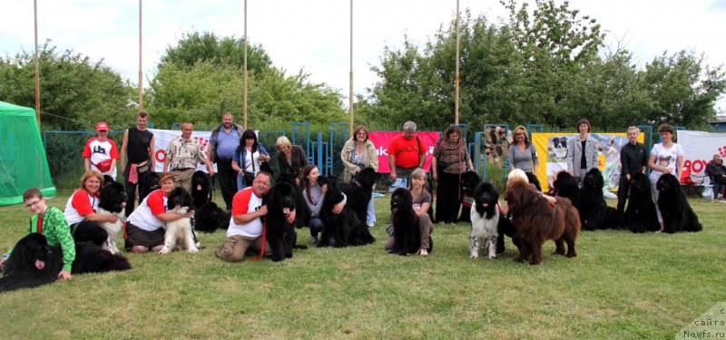 Фотография № 183003