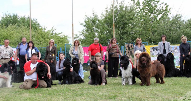 Фотография № 183004