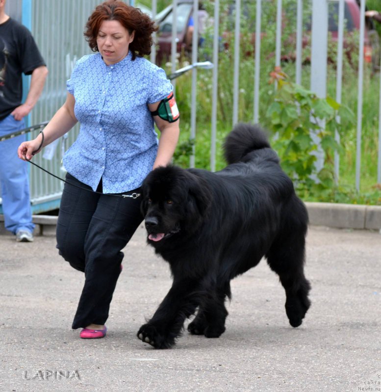 Фотография № 183005