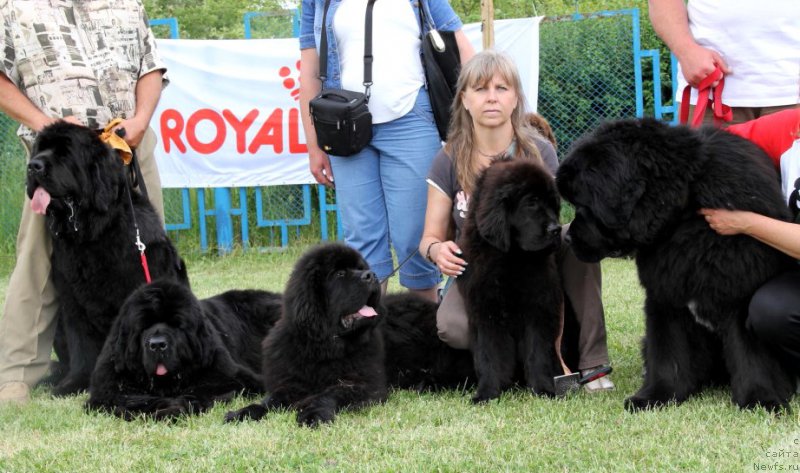 Фотография № 183008