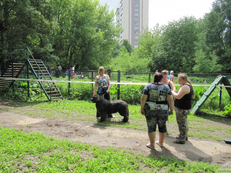 Фотография № 183009