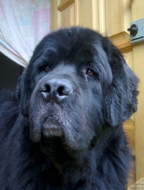 Фотография № 18302