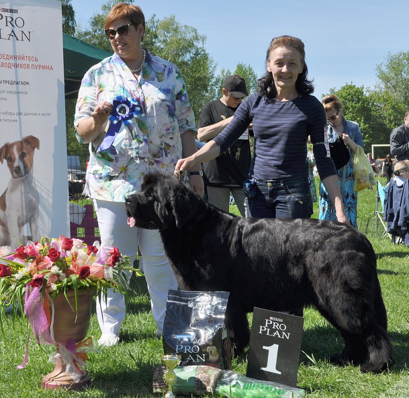 Фотография № 183022