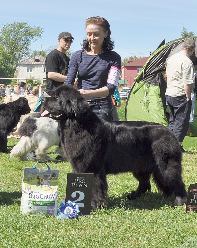 Фотография № 183025