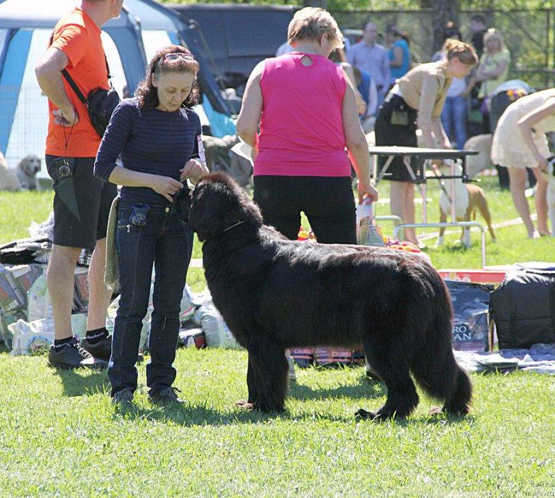 Фотография № 183027