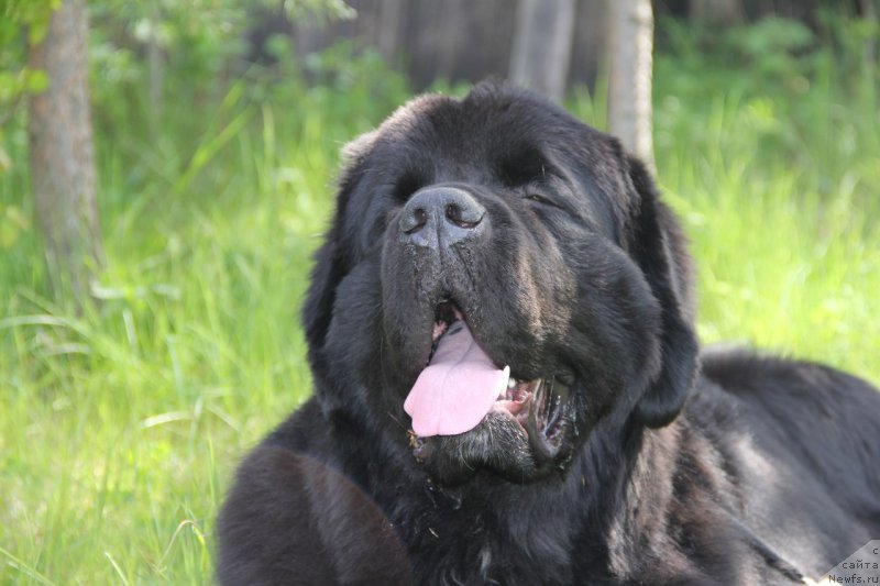 Фотография № 183028