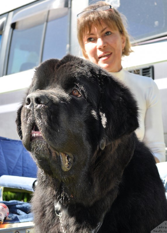 Фотография № 183031