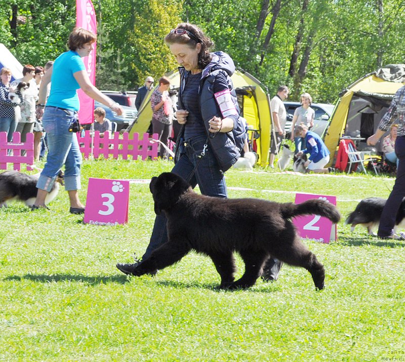 Фотография № 183045