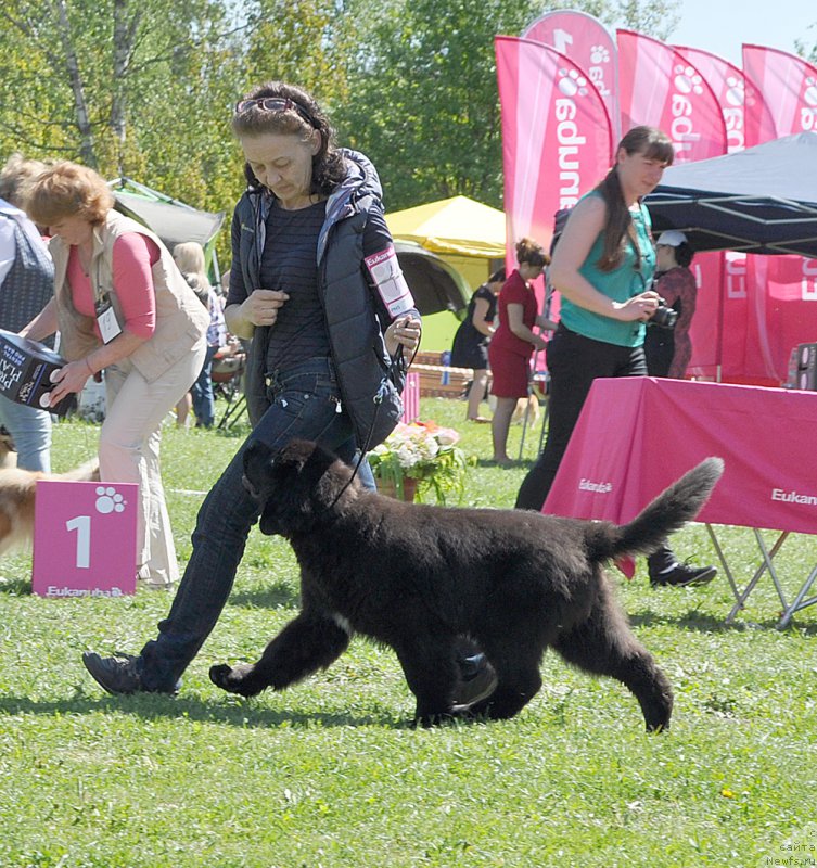 Фотография № 183047