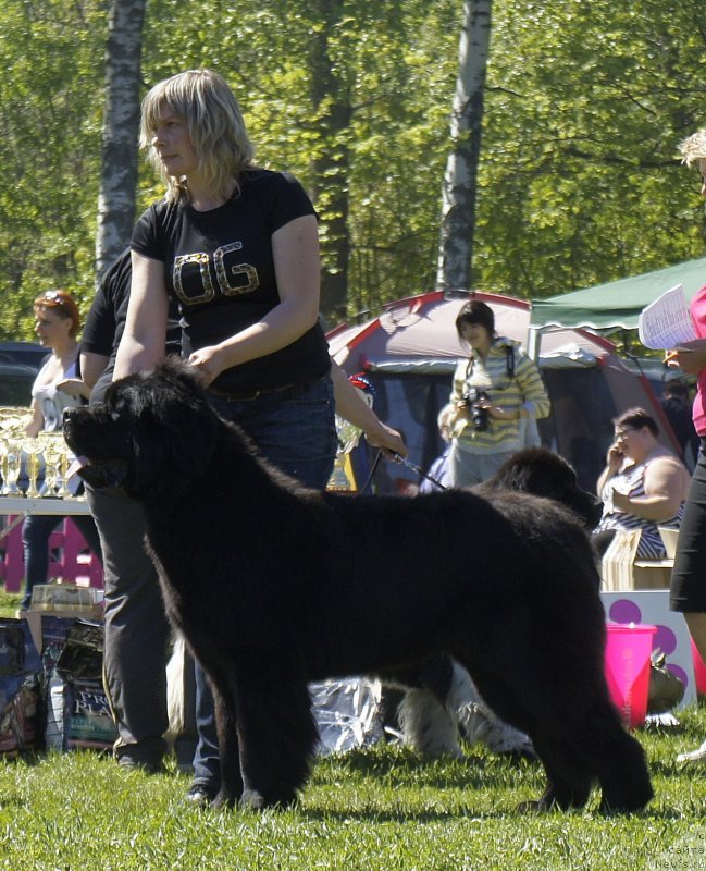 Фотография № 183076