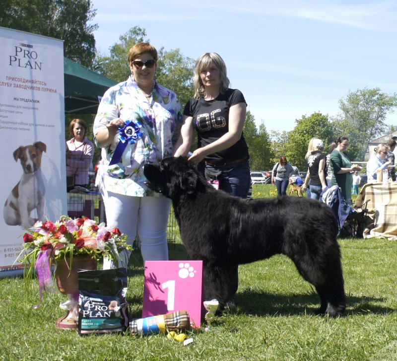 Фотография № 183077