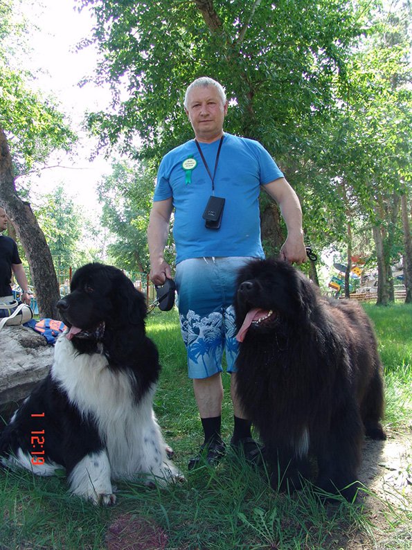 Фотография № 183092