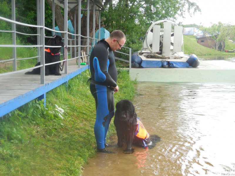 Фото: [d12421] и, Андрей Васильцов