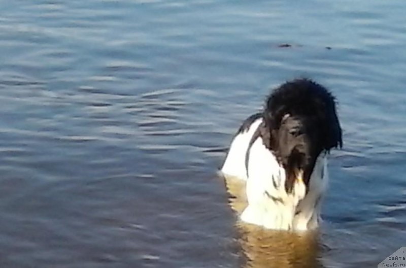 Фотография № 183100