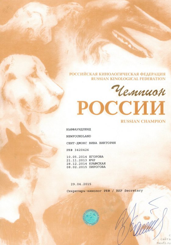 Фотография № 183104