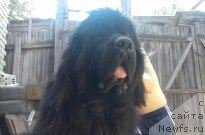 Фотография № 183107