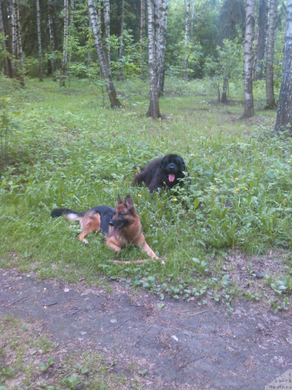 Фотография № 183114