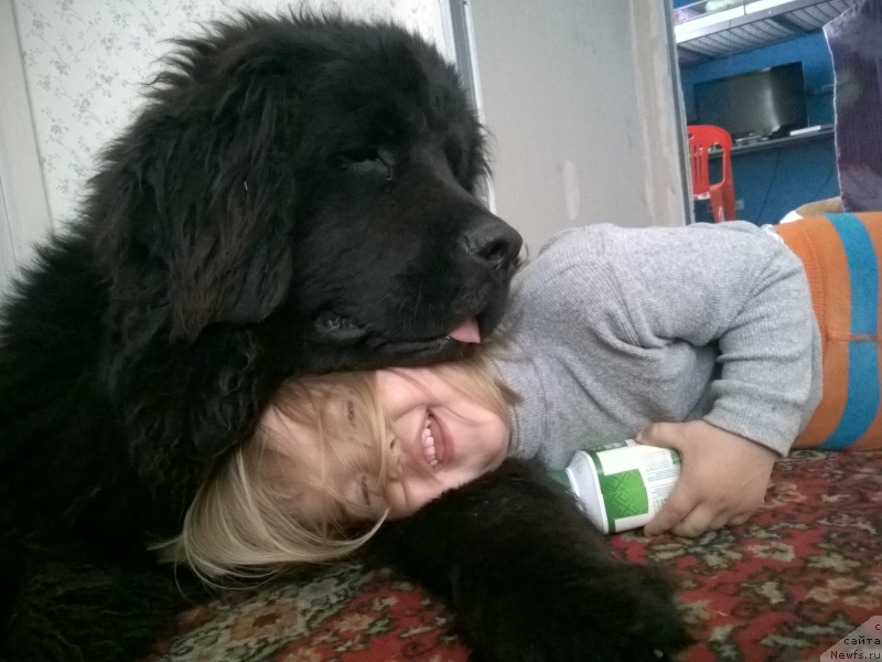 Фотография № 183119