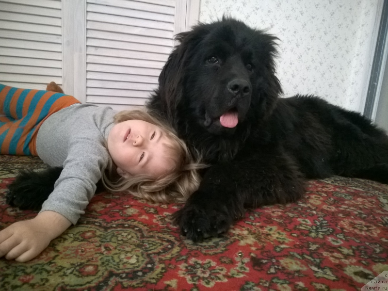 Фотография № 183120