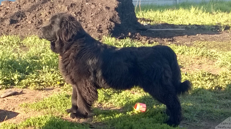 Фотография № 183124