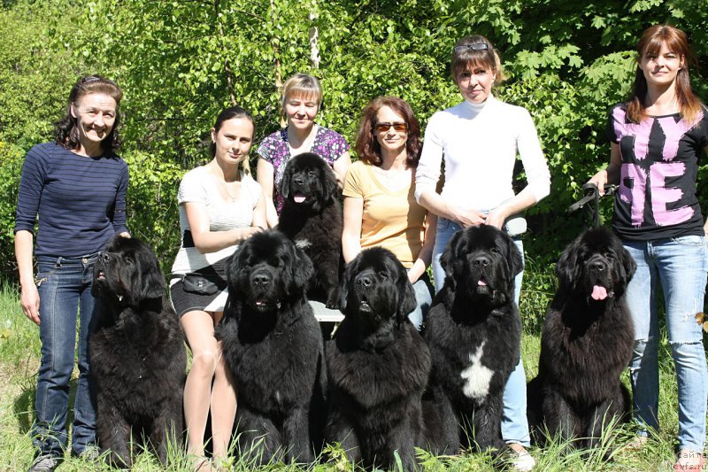 Фотография № 183133