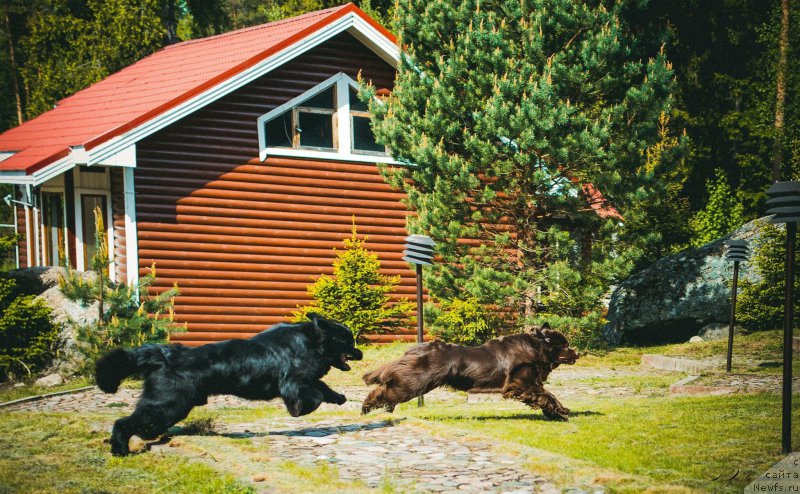 Фотография № 183143