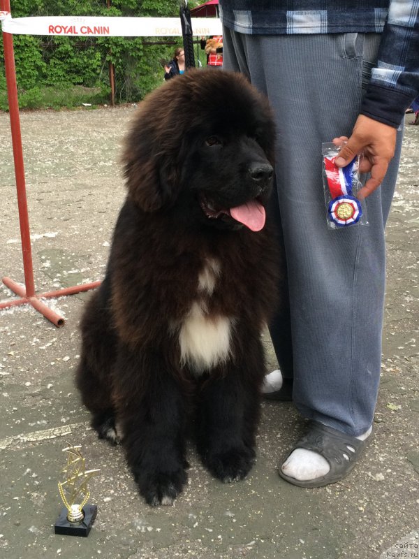 Фотография № 183144