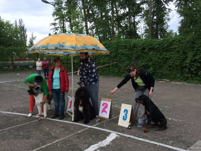 Фотография № 183145