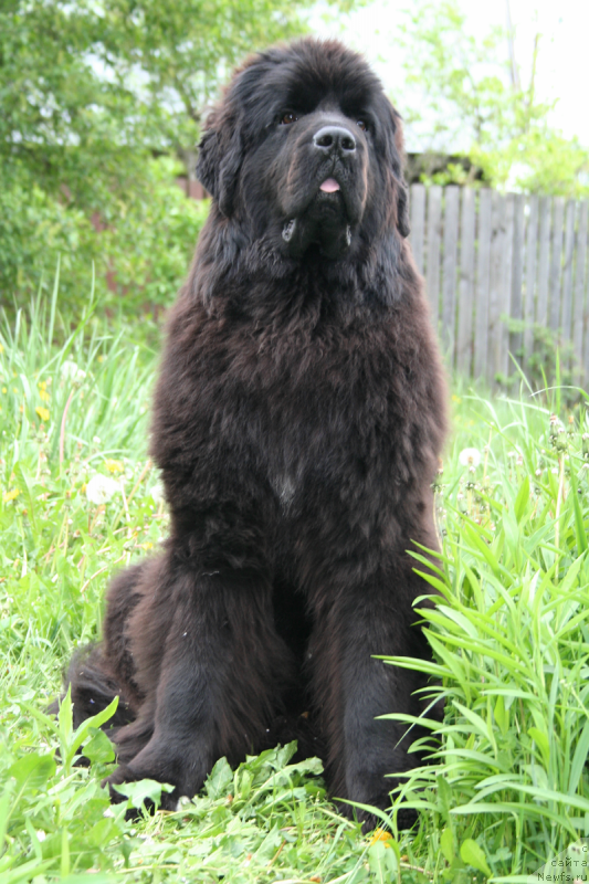 Фотография № 183150