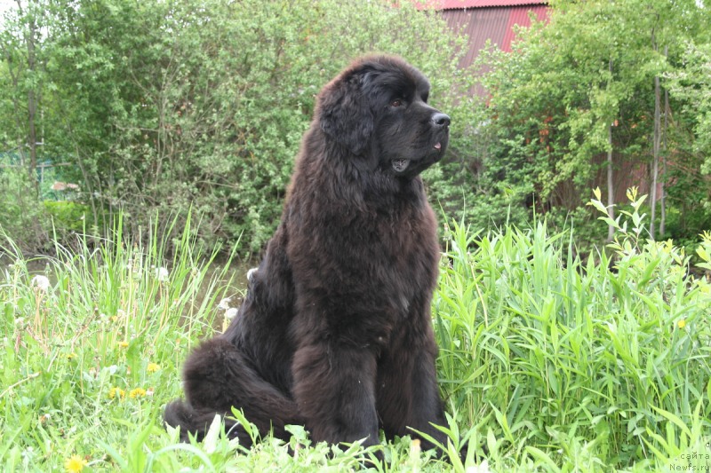 Фотография № 183152