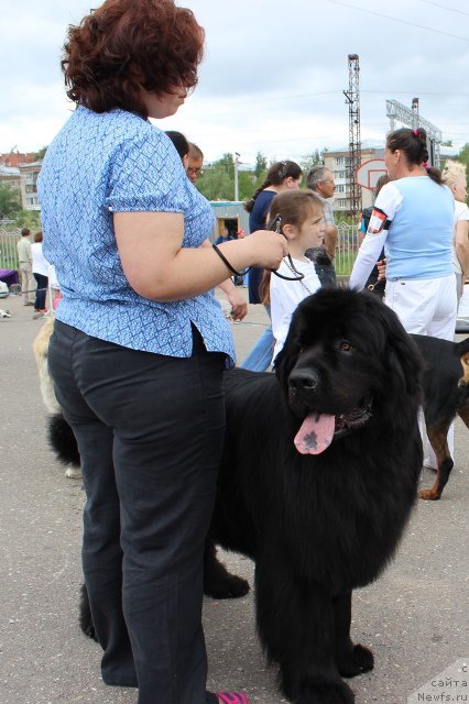 Фотография № 183182