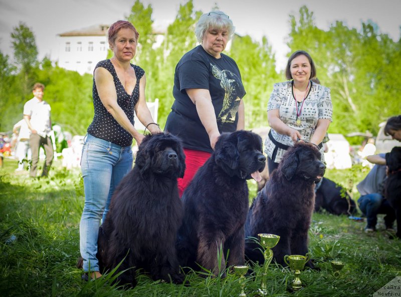 Фотография № 183192