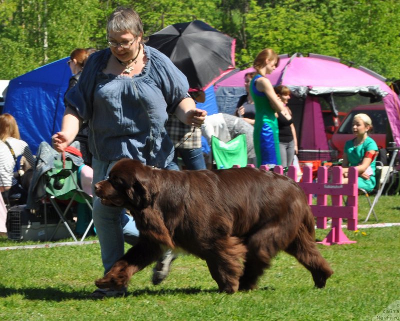 Фотография № 183196