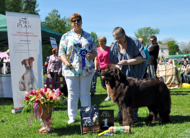 Фотография № 183198