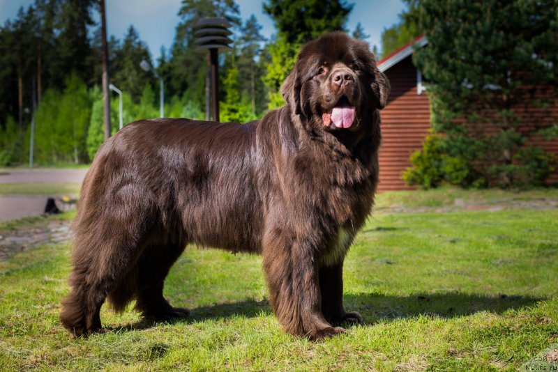 Фотография № 183200