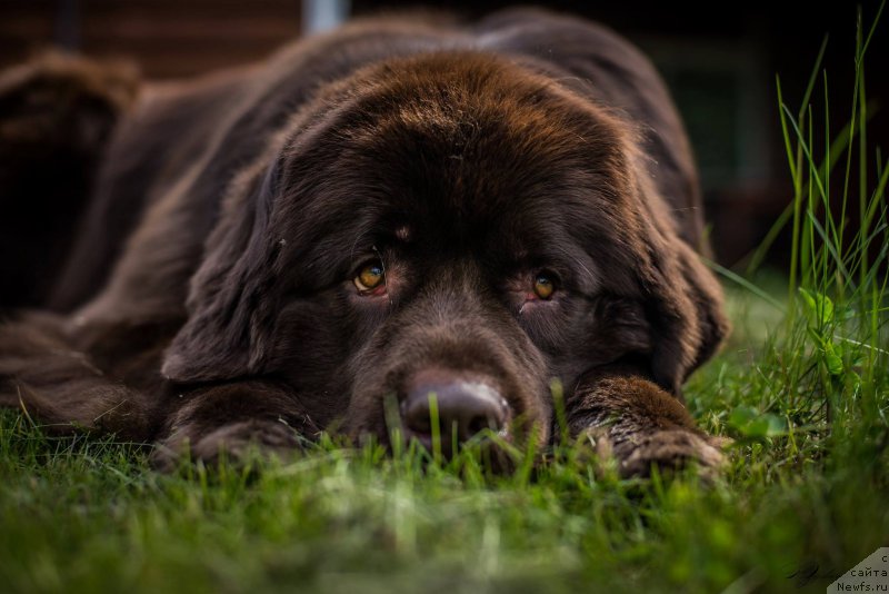 Фотография № 183201